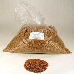 Durum Wheat Best Quality For Human Consumption and Animal feed