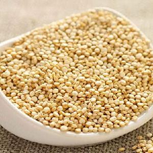 Asian Red And White Sorghum For Sale / Sorghum Flour White / Sorghum grains