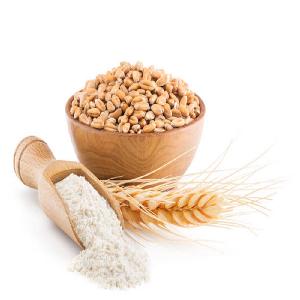 High quality whole gluten wheat