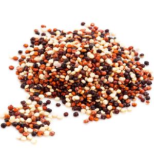 Organic  Royal  Red Quinoa
