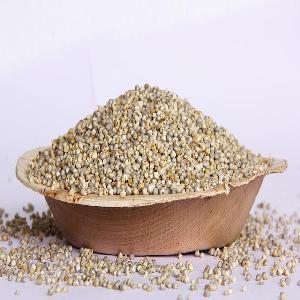 pearl millet seeds