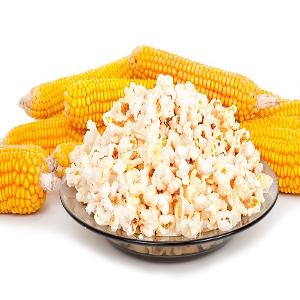 Optimum Quality Dried Yellow Maize/Popcorn!!.