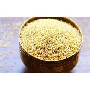 Foxtail Millet | Indian Foxtail Millet | Organic Foxtail Millet Seed