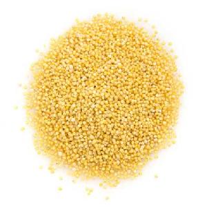 Organic  Millet  Supplier / First Grade  Hulled   Millet 