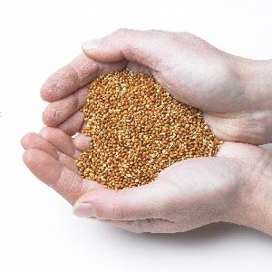 High quality New Crop bagged Hulled yellow millet Cheap Price Broomcron Yellow Millet