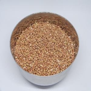 Roasted Buckwheat from EU at cheap price!