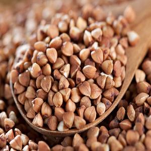 Unroasted  buckwheat   kernel s