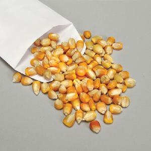 Non GMO White maize/corn