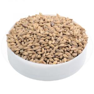 High Quality Barley Ukrainian barley For Animal Feed and Human Consumption