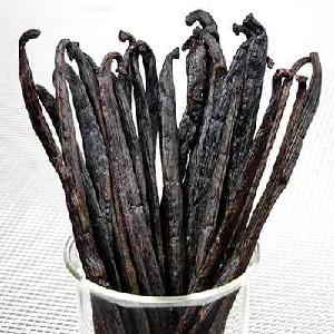 Finest Quality/Best Selling Vanilla Beans /at a very cheap wholesale price