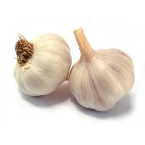 Fresh Pure White Garlic  new crop
