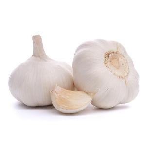 HIGH QUALITY FRESH GARLIC CROP FRESH GARLIC