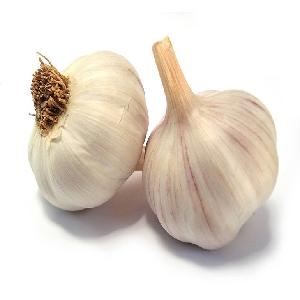 Certified New Crop Normal White Fresh Garlic for Sale