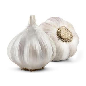 Certified Fresh Pure  White  Normal  White   Purple   White   garlic  supplier
