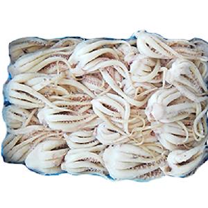 High Quality Frozen fish frozen  giant   Squid   tube s