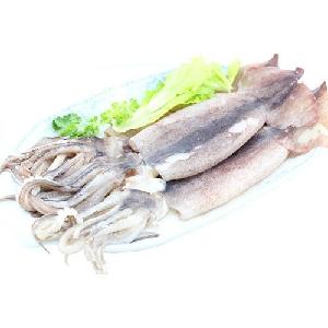 Certified High Quality Frozen fish frozen giant Squid tubes
