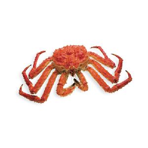 GAP Certification and King Crab/ Variety Crab Red King Crab/  Live and Frozen Red king crab