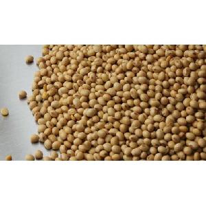 Certified Top Quality Soybeans / Soyabeans for Human Consumption