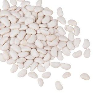 High Best Quality Dried Lima Beans