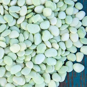 Lima Beans Or White Beans for sale