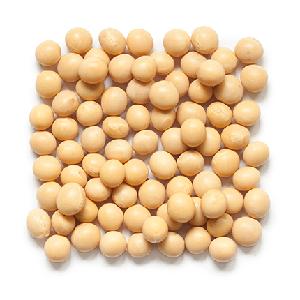 High Quality Soya Dried Best Nutrition Soybeans