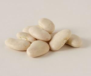 Organic White Lima Beans