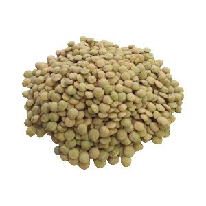 masoor dal lentils