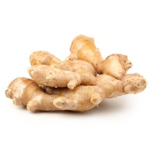 Fresh Old  Ginger  for  Oil  Extracting/ Food Grade consumption fromVietnam