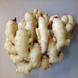 Certified Organic Ginger/Fresh Non GMO Ginger/Air-Dried Ginger