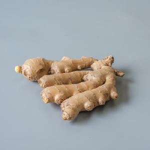 Fresh  ginger  in mesh bag / Bulk high quality fresh  ginger  export  dubai  by lowest price