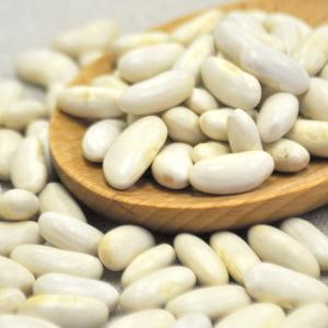 Large White Kidney Beans Wholesale Price