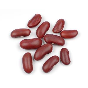 health products beans cranberry dark red kidney beans