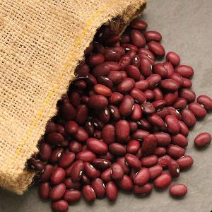 Red Kidney Beans/Dried Kidney Beans