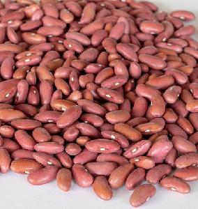 Organic Purple White -Red Kidney Beans