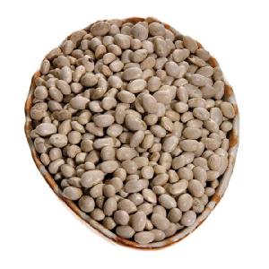 White kidney bean raw beans