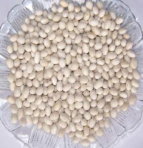  Light  Speckled  Kidney   Bean s (LSKB) Pinto  Bean s/Sugar  Bean s/ White   Kidney   Bean s