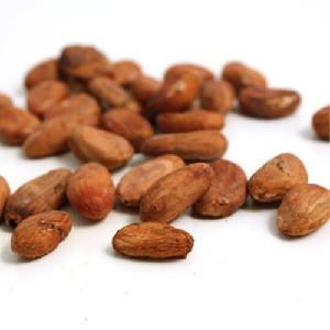 Roasted Processing Type and Ariba Variety cocoa beans for sale