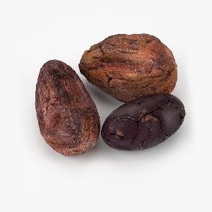 Roasted Processing Type and Cocoa Bean Maturity High Grade Sun Dried Cocoa Beans