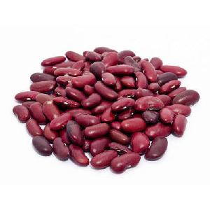 Wholesale  Dried   Dark   Red   Kidney  Bean for Canned Food