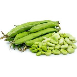 Fresh  frozen   fava  bean broad bean