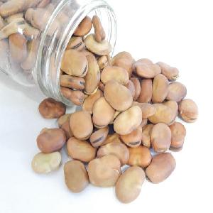 Fava beans broad beans