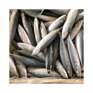Frozen Mackerel Frozen Saba Fish export to Thailand