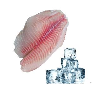 Skinless Boneless Co Treat Tilapia Fillet  Frozen   Fish  Fillet