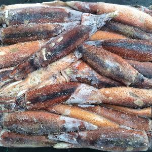 Frozen Illex Cooking Frozen Whole Cleaned Squid