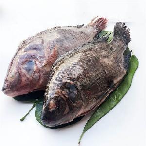frozen seafood whole tilapia fish for sale
