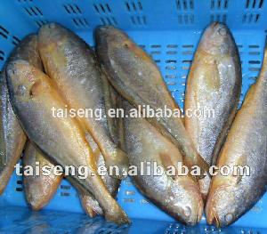 IQF Cheap Farming Yellow Croaker Fish Frozen Whole Round Fish on Sale