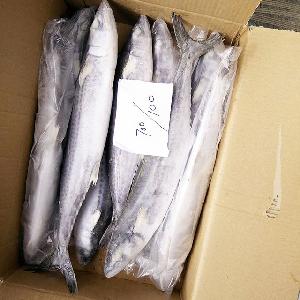 Frozen Spanish Mackerel Fillets / Frozen Sea Food