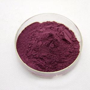 25% Anthocyanin  Blueberry   Extract   Powder  OEM Service