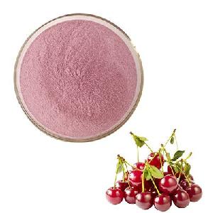 Fresh Food Extract Instant Vitamin C Organic Acerola Cherry Extract Powder