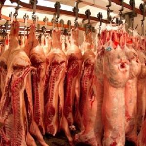 Premium Grade Halal Frozen WHOLE BEEF CARCASS and CUTS